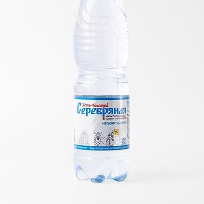 Минеральная вода Серебрянная в Шаурма у Сани по цене 100 ₽