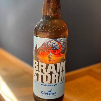 Gletcher Brainstorm APA в Geografia по цене 470 ₽