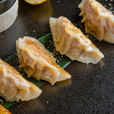 Гёдза с уткойв Tottori по цене 600 ₽