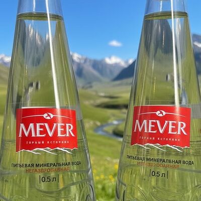 Вода негазированная Мевер в Laksa & Wok по цене 200 ₽