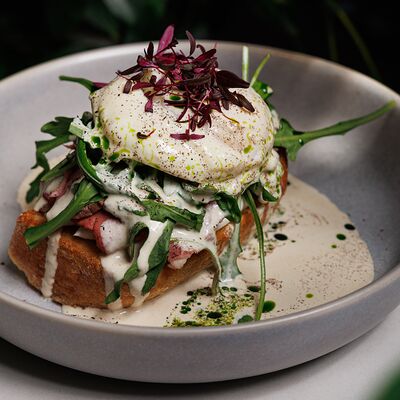 Яйцо Бенедикт с ростбифом, яйцом пашот и соусом вителло тоннато в Ресторан Строгов по цене 520 ₽