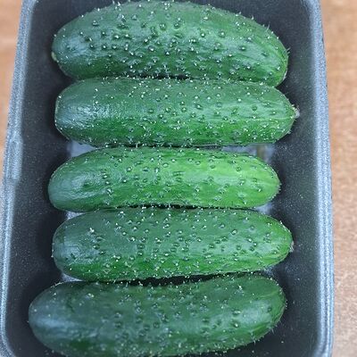 Огурцы Миринда в Шашлычок по цене 270 ₽