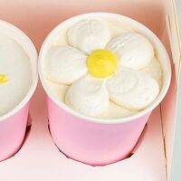 Cake to goв 520