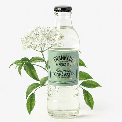Franklin & Sons Elderflower Tonic with Cucumber в Эбби Noodles & Sushi Bar по цене 220