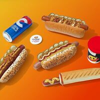 Логотип Stardogs