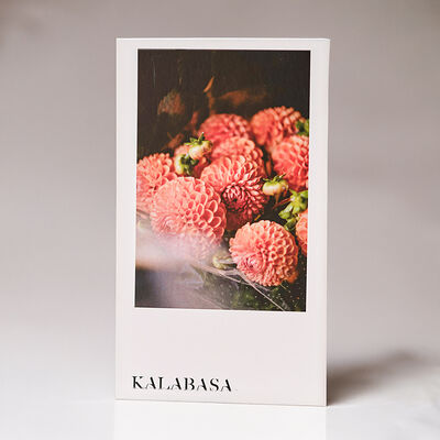 Открытка Георгины в Kalabasa по цене 65 ₽