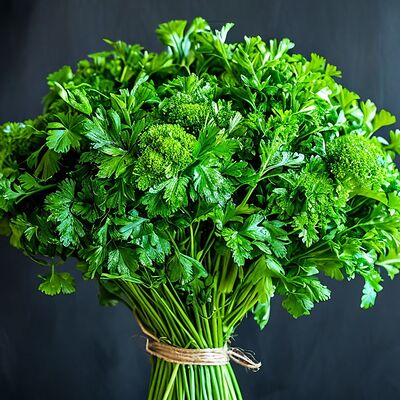 Ассорти зелени в Мимино restaurant по цене 510 ₽