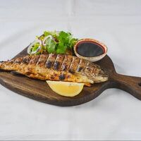 Форель радужная в Фабрика