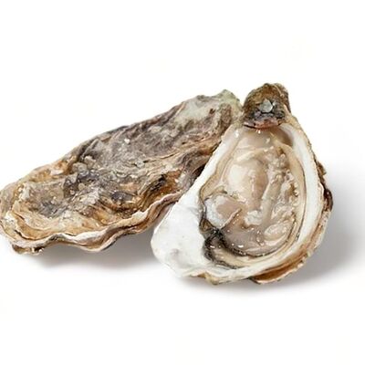 Устрица Императорская №3 в Свежая устрица по цене 489 ₽