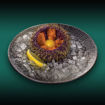 Ежи морские 3шт в Нияма по цене 1099 ₽