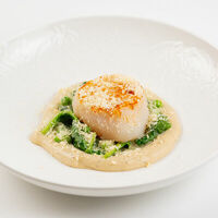 Морские гребешки с пюре из артишока и цветной капусты в Loona