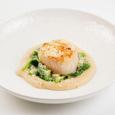 Морские гребешки с пюре из артишока и цветной капусты в Loona по цене 1950 ₽