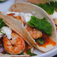 Тако Креветкив Borrachitos