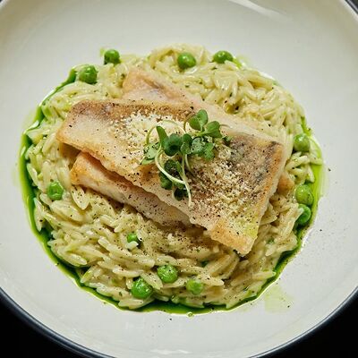 Филе судака с пастой ризони, песто и соленым лимоном в Честер по цене 670 ₽