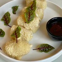 Сыр Сулугуни темпура в Sant