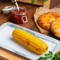 Початок кукурузы в Аджикинежаль