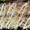 Ролл Цезарь с курицей в темпурев ОстроVok по цене 570