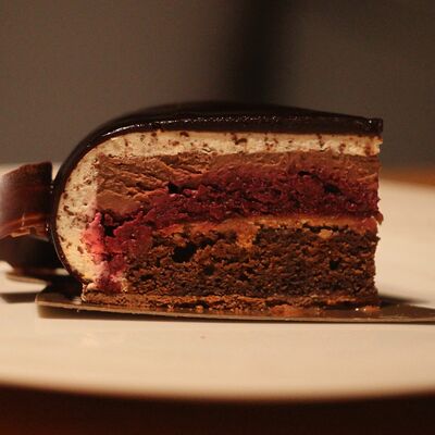 Черный лес в Hive по цене 550 ₽