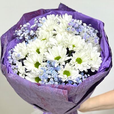 Букет для любимой из хризантем и гипсофилы в сиреневой упаковке в Cosmo Сakery по цене 2290 ₽