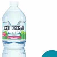 Вода Сенежская негазированная в NeButer sandwiches&more