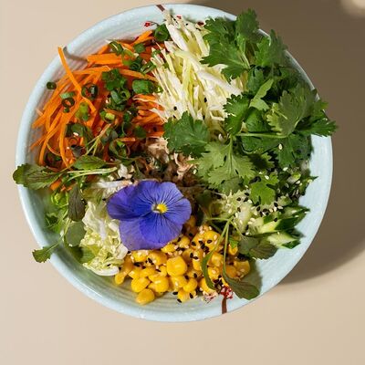 Салат овощной с соусом гамадари в Domo по цене 330 ₽