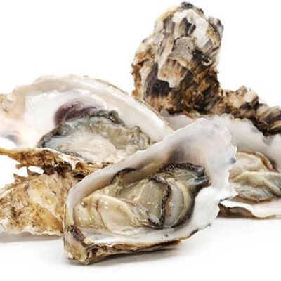 Устрица Хасанская №2 в Свежая устрица по цене 438 ₽