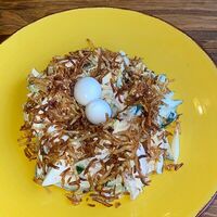 Куш уяси в Нур