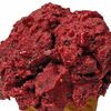 Сорбет Жимолость без сахара в My Gelato по цене 600