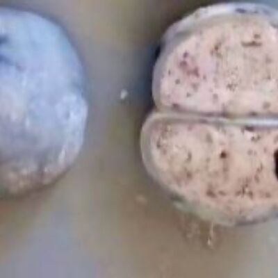 Моти Орео в YoYo sushi по цене 220