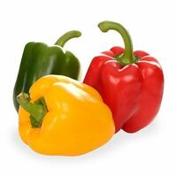 Перец Светофор 1 упаковка в Азбука Вкуса Экспресс Меню