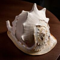 Тартар из гребешка и креветки в Nautilus