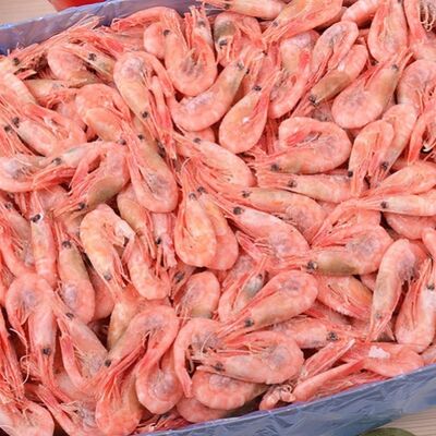 Креветки северныев Red Раки по цене 1500 ₽