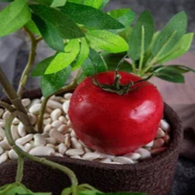 Паштет куриный в Duran Bar & Grill по цене 395
