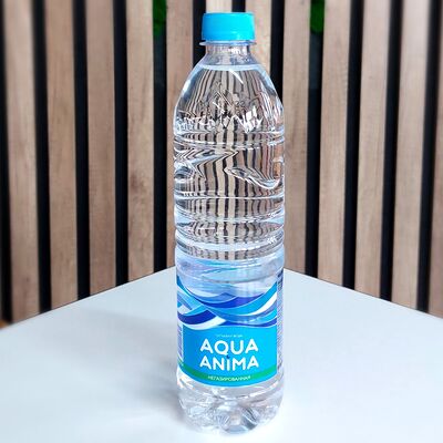 Минеральная вода Aqua Anima негазированная в Мясорубка бистро по цене 55 ₽