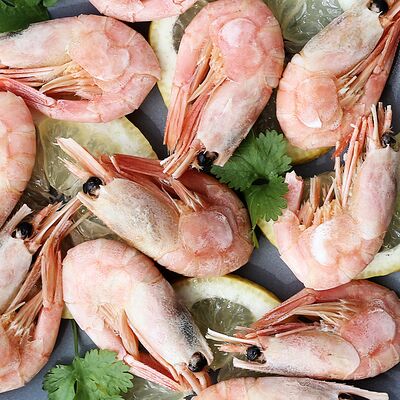 Креветка Магаданская отварнаяв Раковарня FiSH&CRAB - 1 по цене 2800 ₽