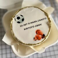 Бенто торт 12 лет я мама самого крутого сына в VIP Cake