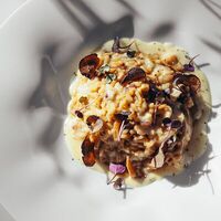 Ризотто с белыми грибами, вешенками и трюфелем в Лаверна