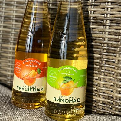 Карачинский источник Груша в Бублик по цене 107 ₽