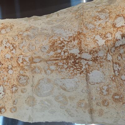 Лаваш тонкий в Бурум Хаус по цене 65 ₽