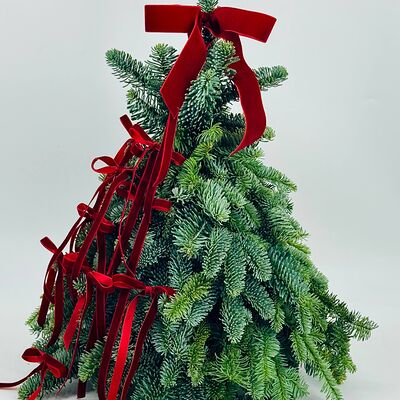 Живая ёлка из нобилиса с красными бархатными бантиками (50 см) в Дарите красиво по цене 7390 ₽