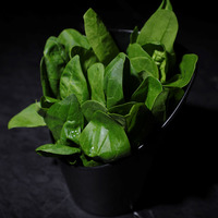 G01 Шпинат (菠菜) в Chaoshan