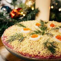 Сельдь под шубой в Bistro Pizzateca 9.8