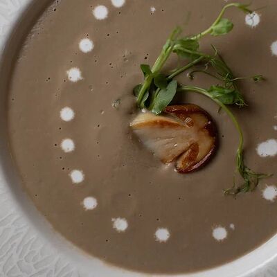 Грибной суп в Сицилия бедда по цене 590 ₽