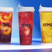 Логотип Pims