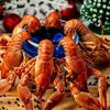 Крупные раки, варенные в темном пивев Fish & Crab по цене 6890