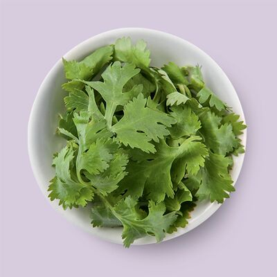 Кинза дополнительно в Территория лапши по цене 35 ₽