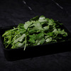G03 Кинза (香菜) в Chaoshan по цене 360