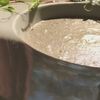 Сливочно-сырный суп с тигровыми креветками в National по цене 460
