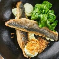 Филе сибаса с муссом из брокколив Чентуриппе