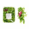 Салатная смесь Рукола и Радичио в Азбука Вкуса Экспресс Меню по цене 198